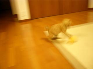 f0077097_15203668.jpg
