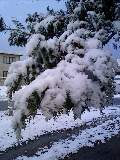 d0032405_2221531.jpg