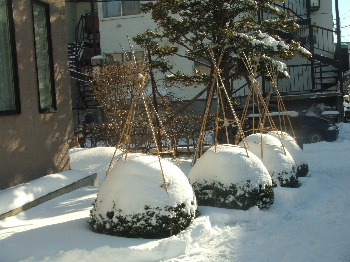 f0041606_19203661.jpg