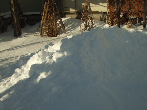 f0041606_20431744.jpg