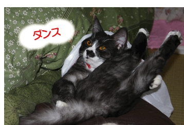 a0041108_22574483.gif