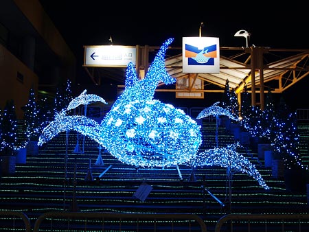 a0041508_303771.jpg