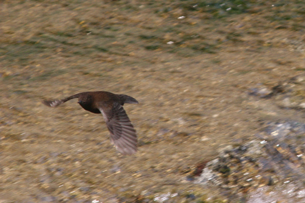 d0085715_08821.jpg
