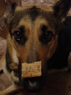 c0090220_1020228.jpg