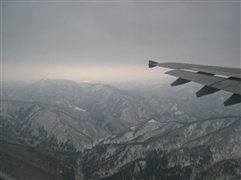 e0002820_2152039.jpg