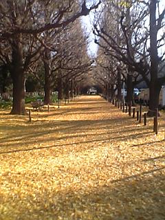 e0019320_17514113.jpg