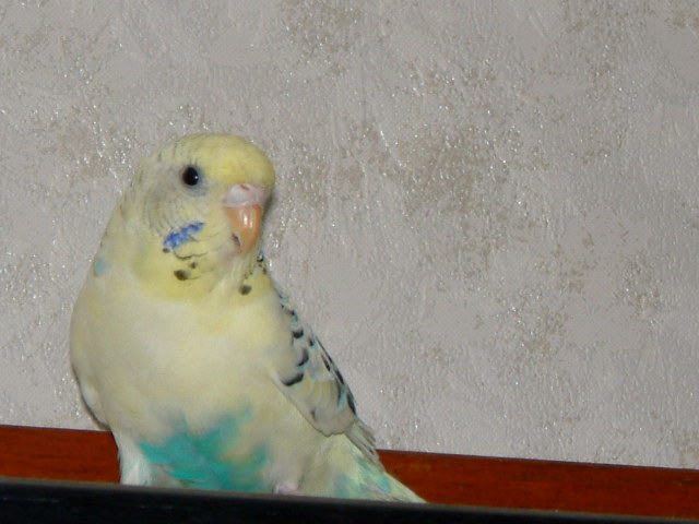 e0024126_20394688.jpg