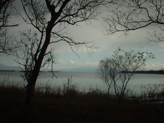 d0004627_23181658.jpg