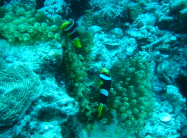 f0000644_0125147.jpg