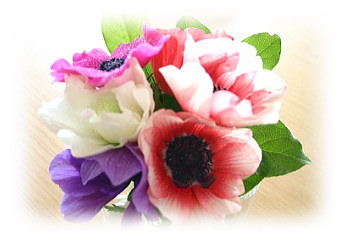 c0043751_1693130.jpg