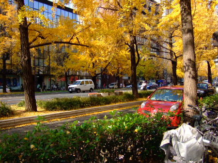 e0088654_11382244.jpg