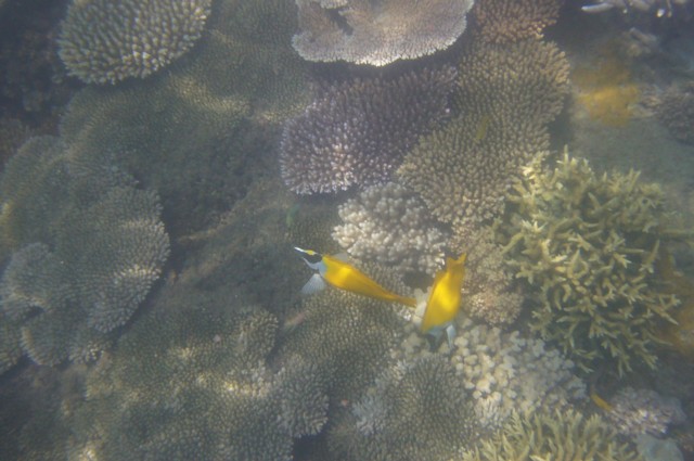 a0052156_21232394.jpg