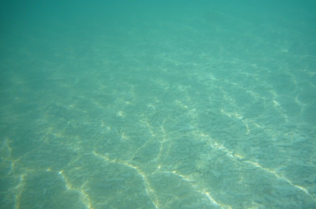 a0052156_21234526.jpg