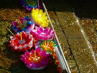 c0047860_0415154.jpg