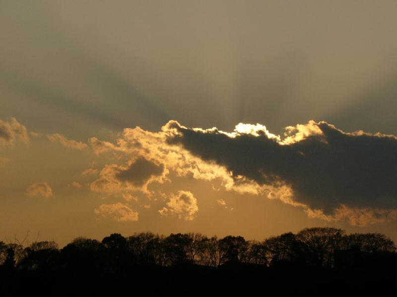 b0024266_23111590.jpg