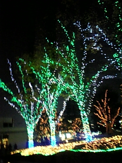 a0032384_15133720.jpg