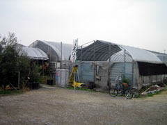 e0047185_2350097.jpg