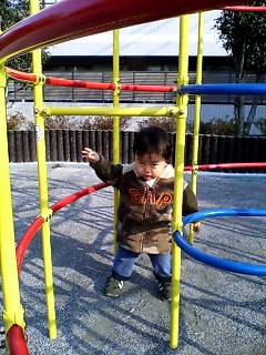 c0012888_1393863.jpg