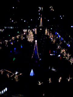 a0064290_0325930.jpg