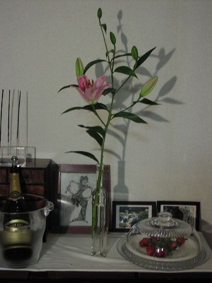d0055690_27589.jpg