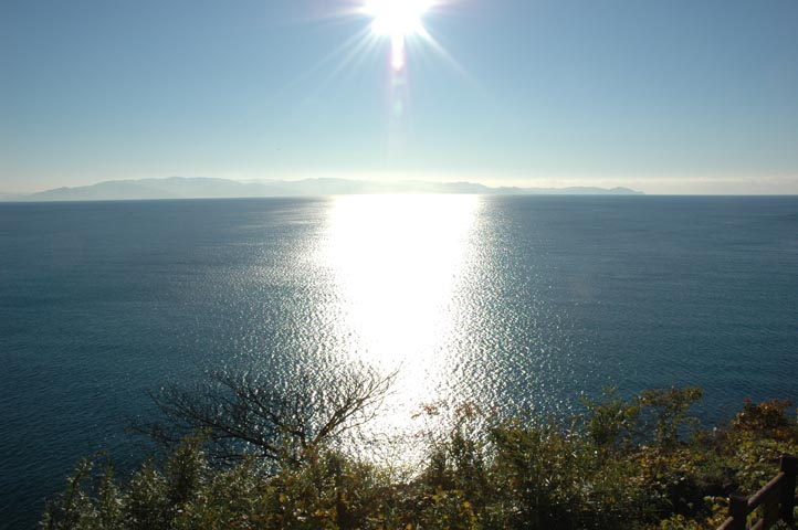 c0000391_23385751.jpg