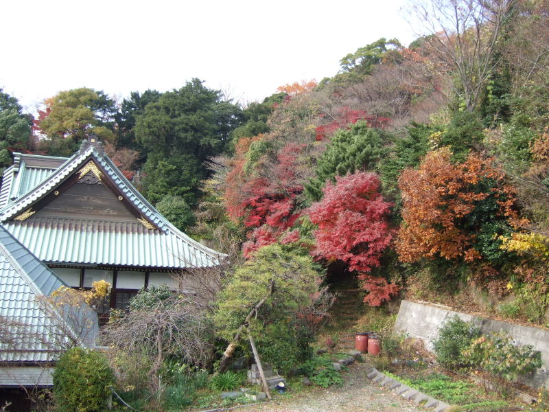 c0104492_18542735.jpg