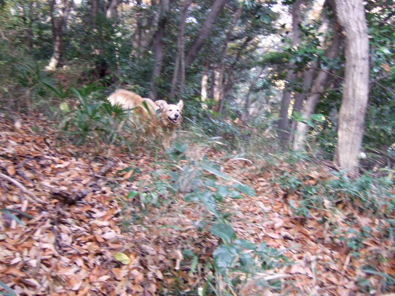 c0104492_1857144.jpg