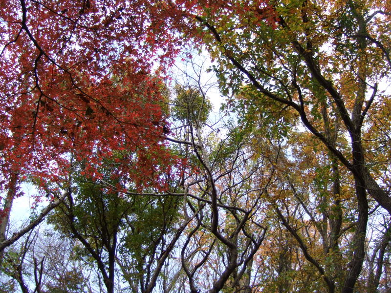 c0104492_18592282.jpg