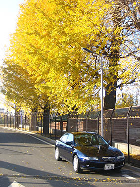 c0004193_13423057.jpg