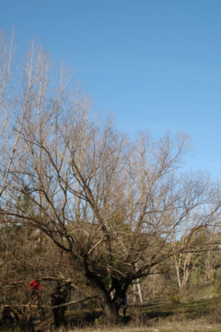 e0061699_8332959.jpg