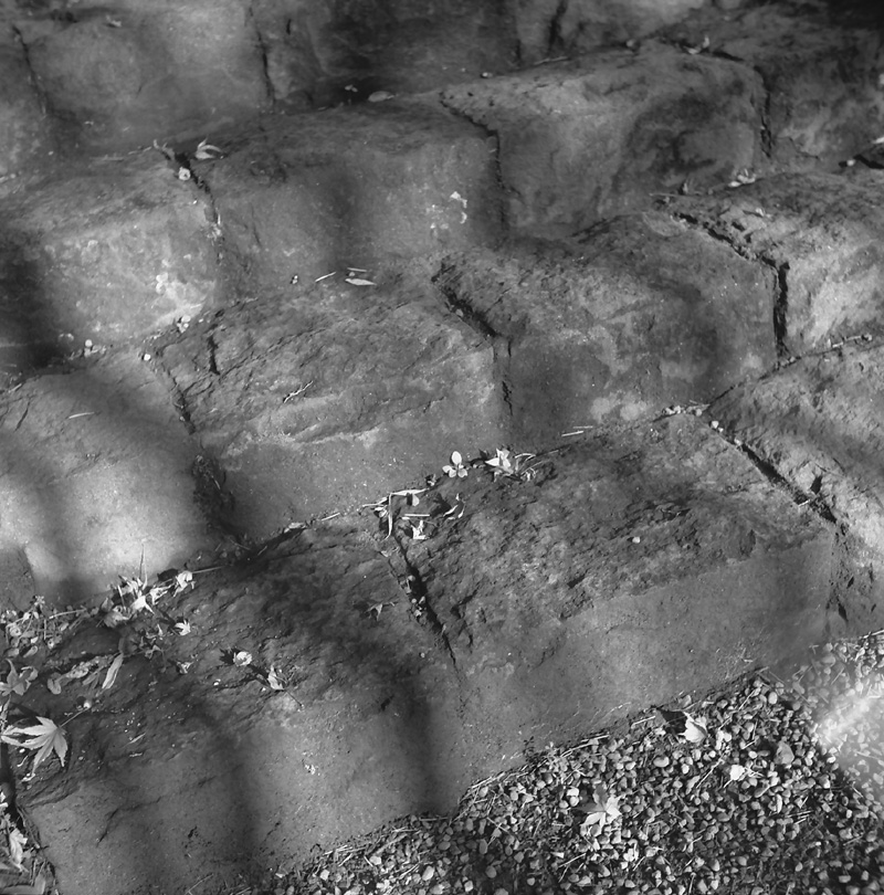 f0109201_1134970.jpg