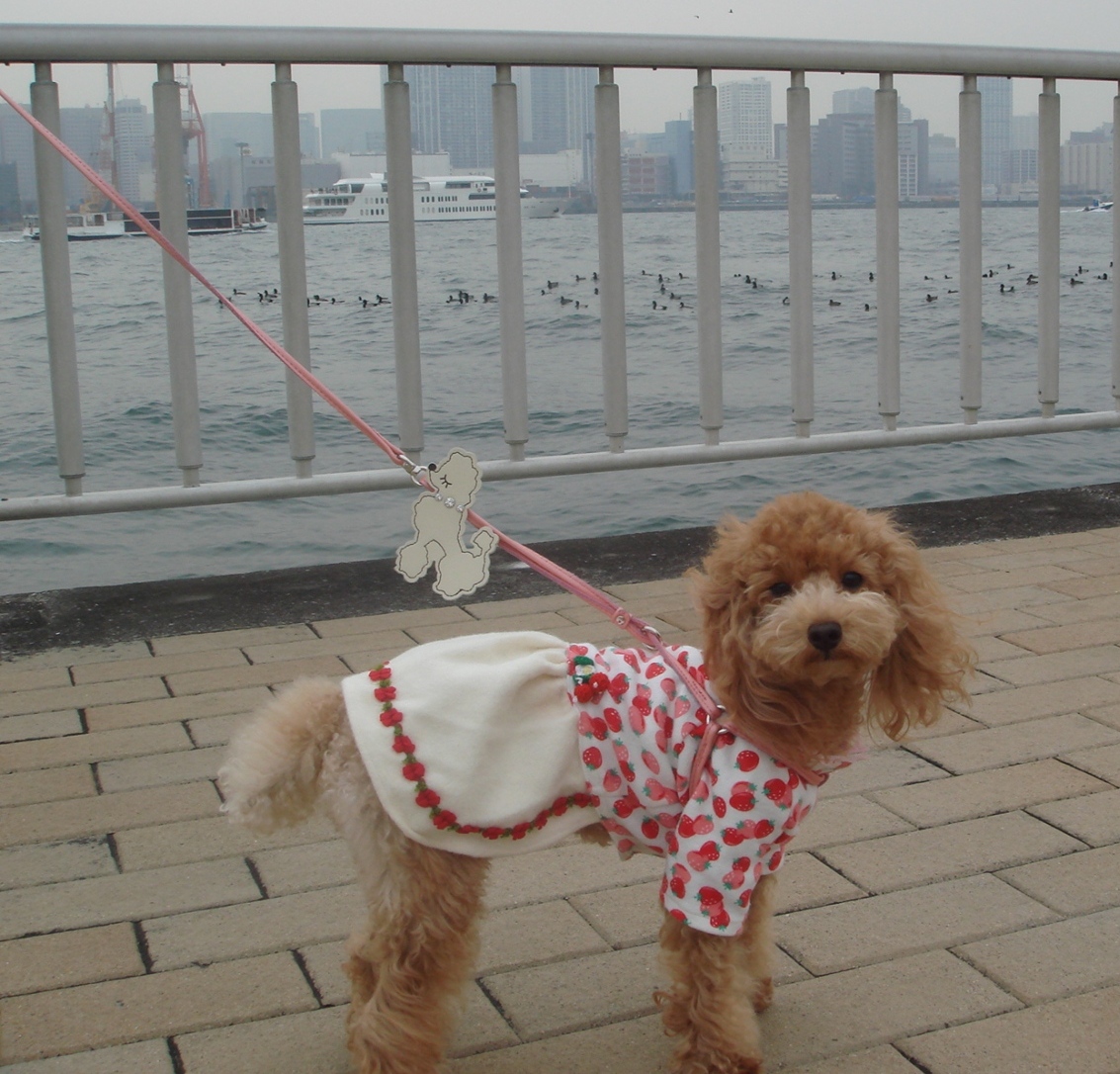 c0041207_1362632.jpg