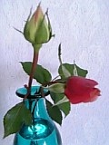 e0098908_21423475.jpg