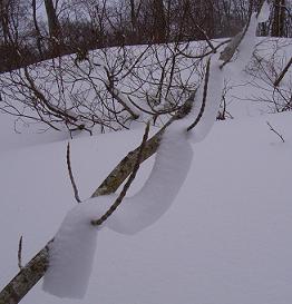 f0118332_2144738.jpg