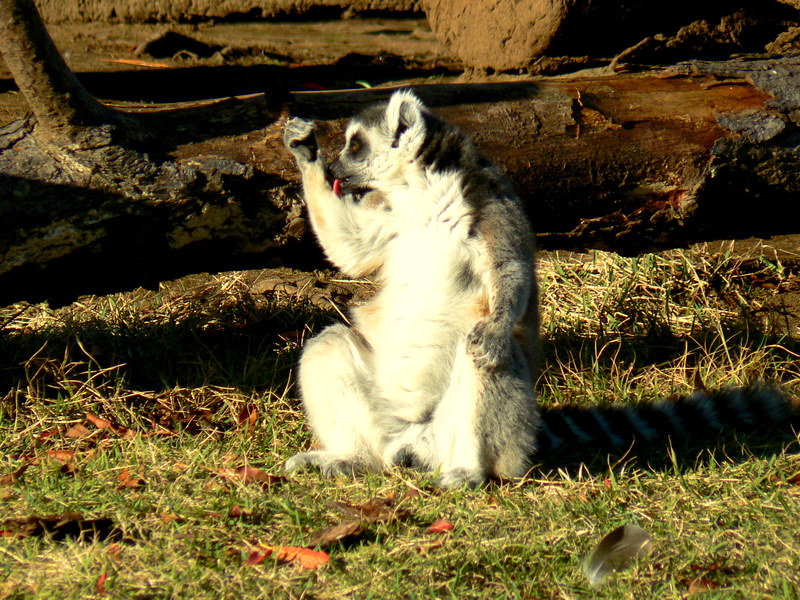 f0097047_23373428.jpg