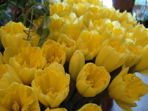 f0041850_182631100.jpg