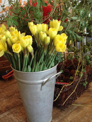 f0041850_18305225.jpg
