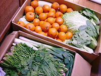 e0016955_2329622.jpg