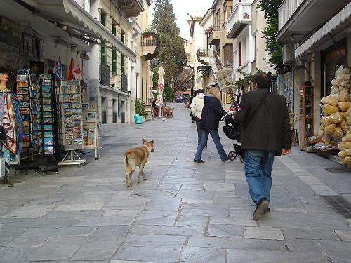 f0037264_23191.jpg