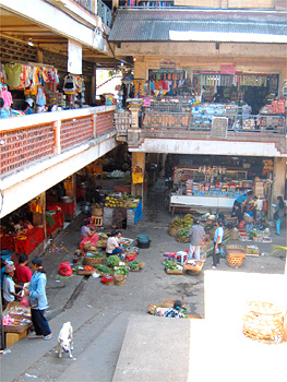 e0038669_1355441.jpg