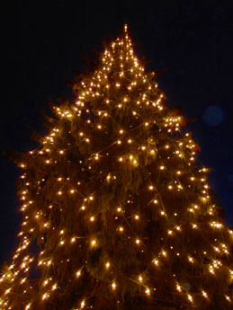 f0032969_6135020.jpg