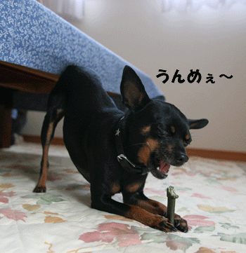 c0012571_20264210.gif
