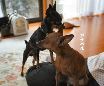 c0012571_2028199.gif