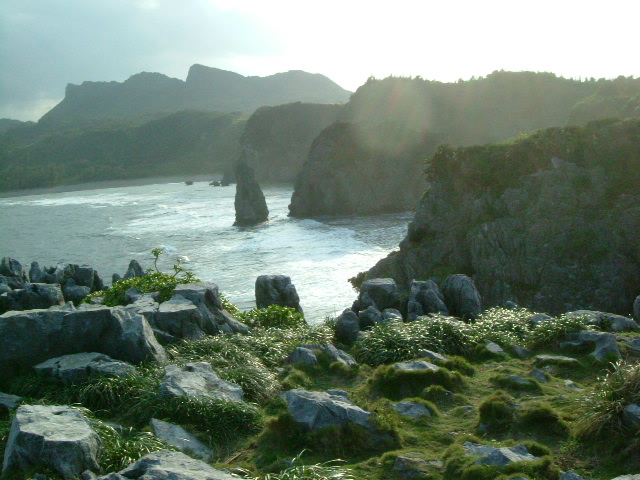 e0078071_1527363.jpg