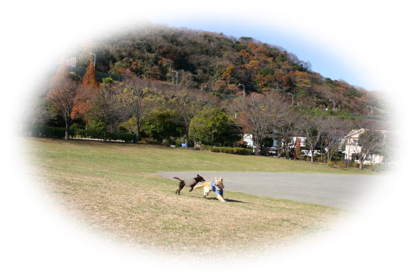 f0109418_14334055.jpg