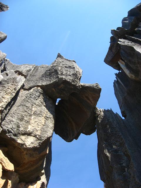 a0048423_2384065.jpg