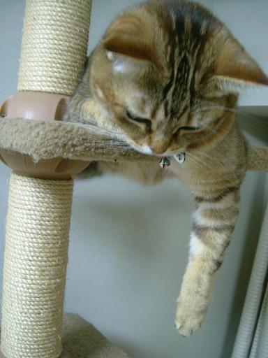 f0055228_20122548.jpg