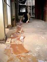 d0061338_444954.jpg