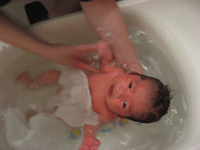 f0047439_1148439.gif