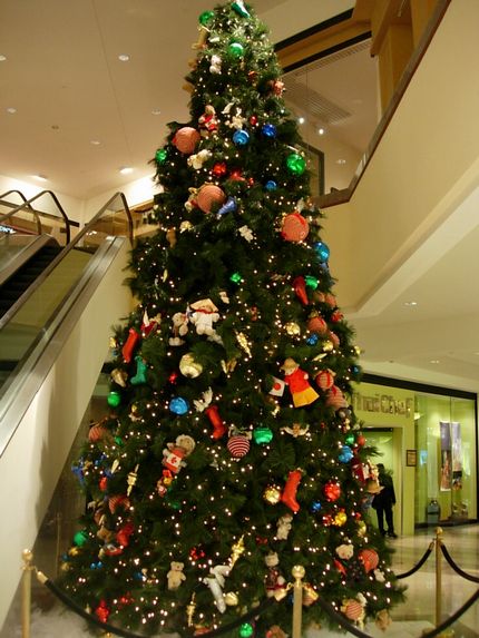 c0074444_1372645.jpg
